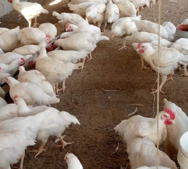 Screenshot_20230303-093128 - Maryam Usman