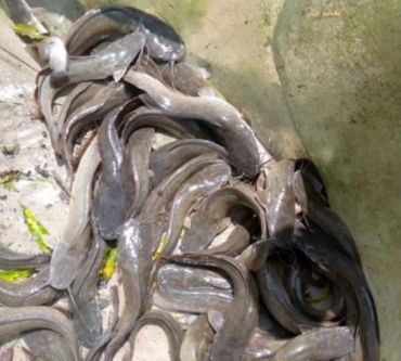 Screenshot_20230303-093406_1 - Maryam Usman